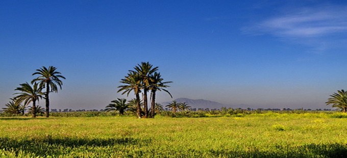 Guardamar -La marina.jpg